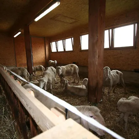 Apartman S' Himmelreich-2 By Interhome