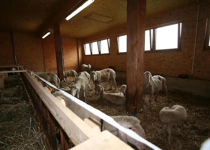 Apartmán S' Himmelreich-2 By Interhome